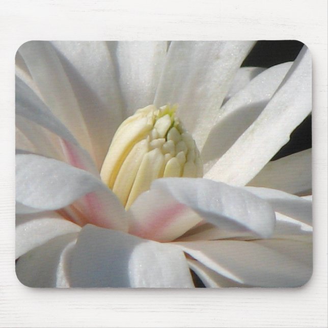 Star Magnolia Mouse Pad (Front)