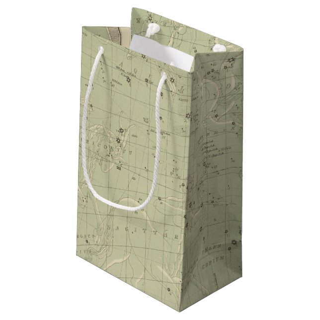 Star map 2 small gift bag (Back Angled)