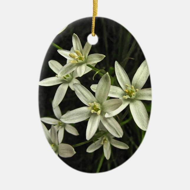 Star of Bethlehem Ceramic Tree Decoration (Front)