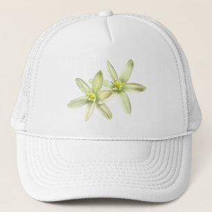 Star of Bethlehem Hat