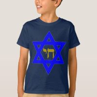 STAR of David & Symbol of LIFE