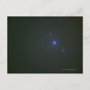 Star Postcard