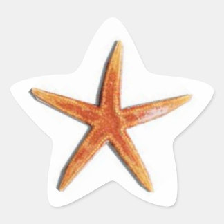 Star shaped starfish sticker
