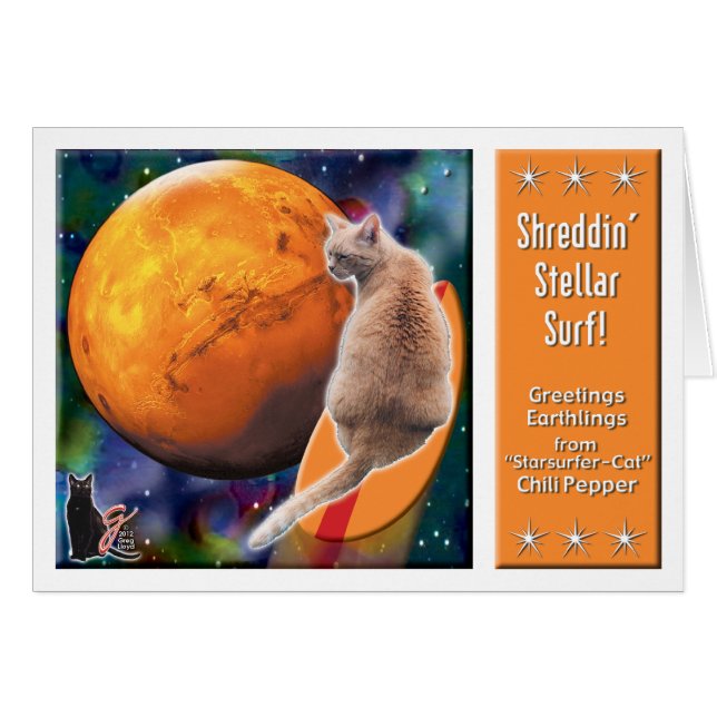 Star Surfer-Cat Chilli Pepper (Front Horizontal)