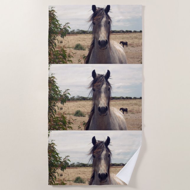 Star The Arab Pony,  Beach Towel (Front)