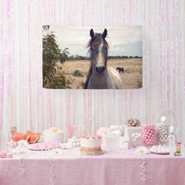 Star The Arab Pony, Birthday Banner (Party)