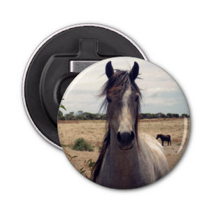 Star The Arab Pony, Bottle Opener