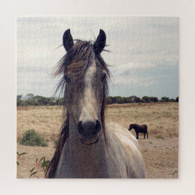 Star The Arab Pony,  Jigsaw Puzzle (Vertical)