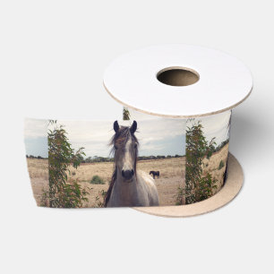 Star The Arab Pony, Satin Ribbon