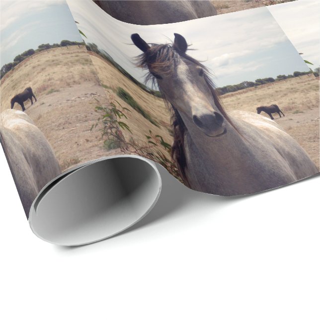 Star The Arab Pony, Wrapping Paper (Roll Corner)