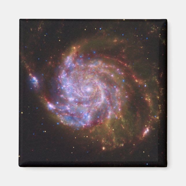 Starbirth in the Pinwheel:  M101 Galaxy Magnet (Front)
