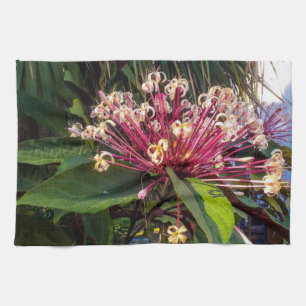 Starburst Clerodendrum Flowers Kitchen Towels