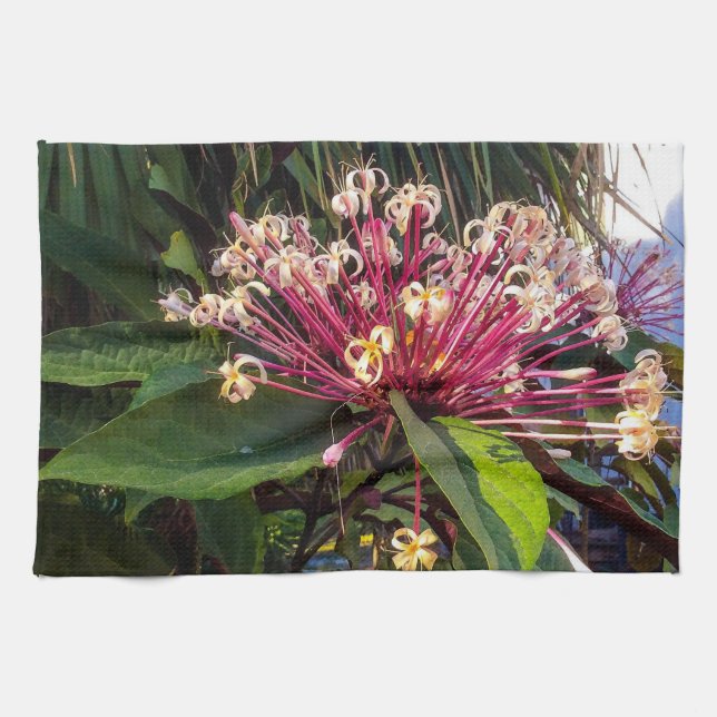 Starburst Clerodendrum Flowers Kitchen Towels (Horizontal)
