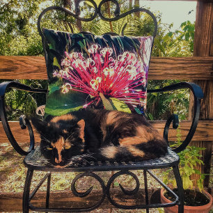 Starburst Clerodendrum Flowers Throw Pillow