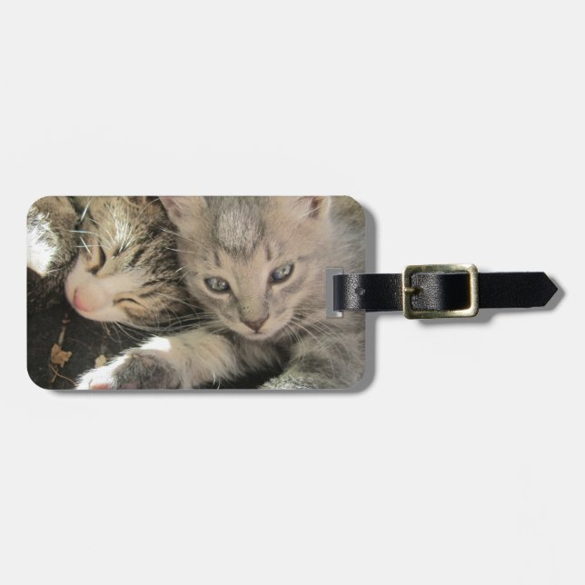 Stardust Kittens Luggage Tag (Front Horizontal)