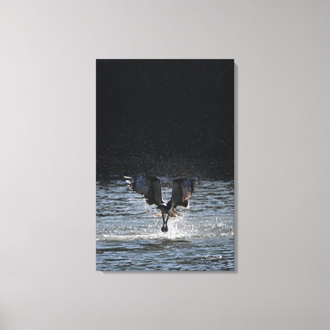 Stardust - Osprey Canvas Print (Front)