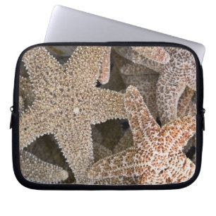 starfish all around laptop sleeve