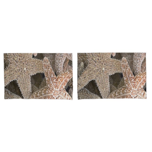 Starfish all around pillowcase (Front-Set)