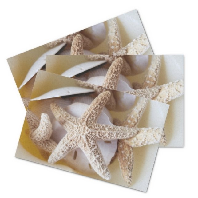 Starfish and Sand Dollars Creamy White Coastal Tissue Paper (Creator Uploaded)
