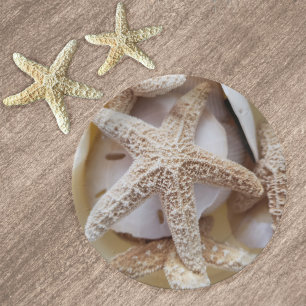 Starfish and Sand Dollars Elegant Paper Plate
