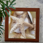 Starfish and Sand Dollars wooden Gift Box<br><div class="desc">Beautiful natural treasures of the Sea wooden jewellery keepsake box,  featuring starfish and sanddollars,  will beautifully hold your tresures. This image is original beach photography by JLW_PHOTOGRAPHY</div>