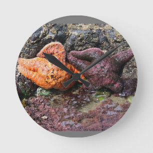 Starfish at Bob Creek, OR Round Clock