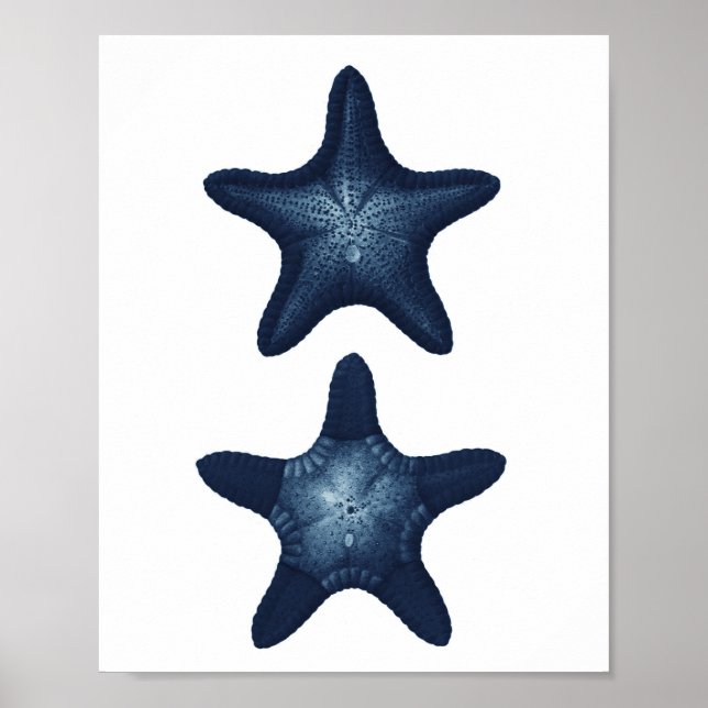 Starfish Beach Decor Navy Bathroom Art (Front)