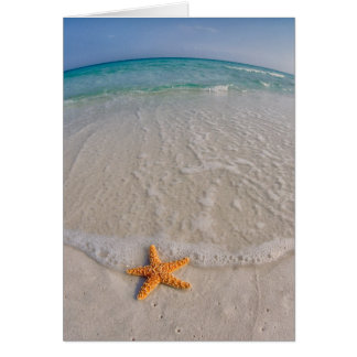 Starfish Beach Note Card
