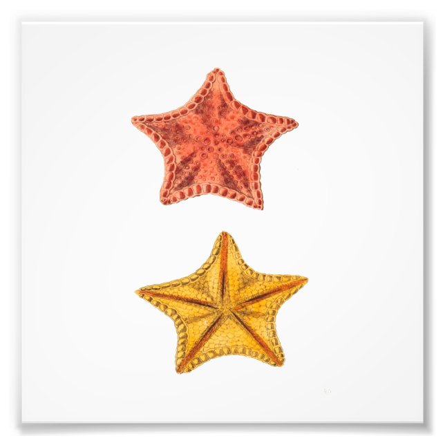 Starfish Beach Sea Nautical Bathroom Print (Front)