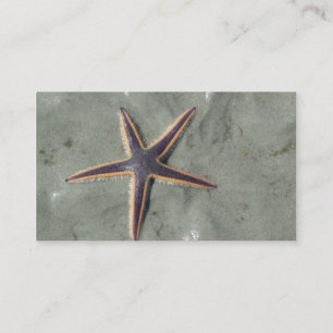 Starfish Business Card