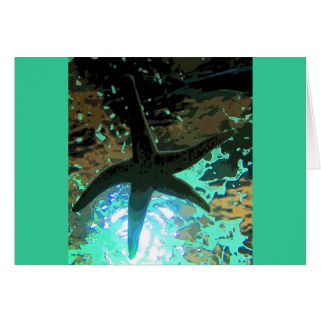 Starfish CB (Front Horizontal)