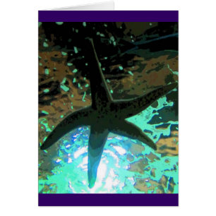 Starfish CB