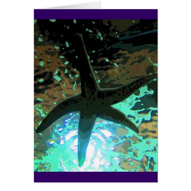 Starfish CB (Front)