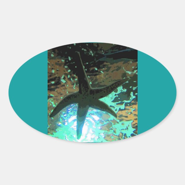 Starfish CB Oval Sticker (Front)