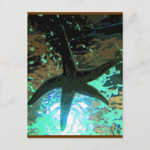 Starfish CB Postcard