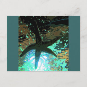 Starfish CB Postcard