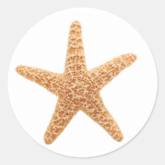 starfish fun classic round sticker