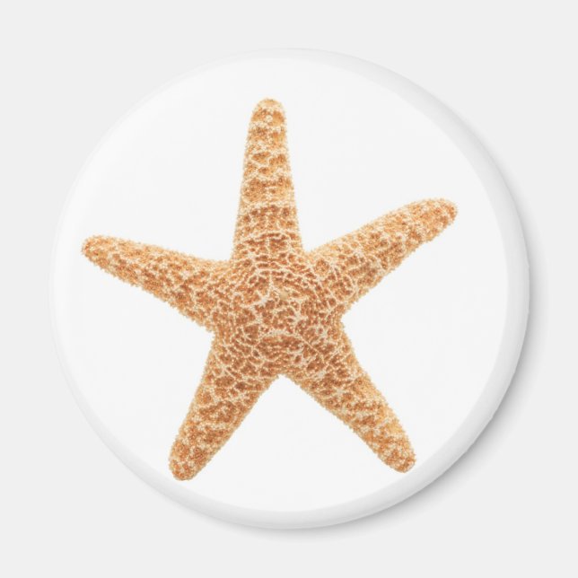 starfish fun magnet (Front)