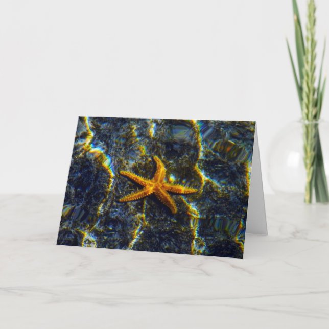 Starfish Greeting Card (Front)