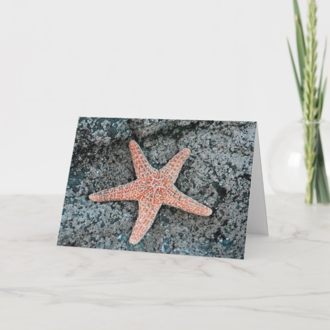 Starfish Greeting Card (Front)