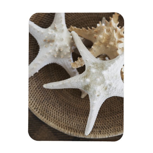 Starfish in a basket magnet (Vertical)