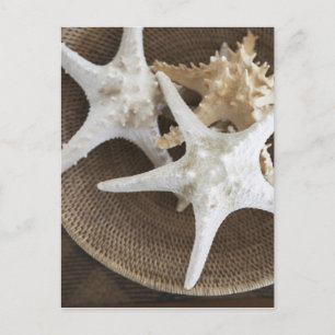 Starfish in a basket postcard