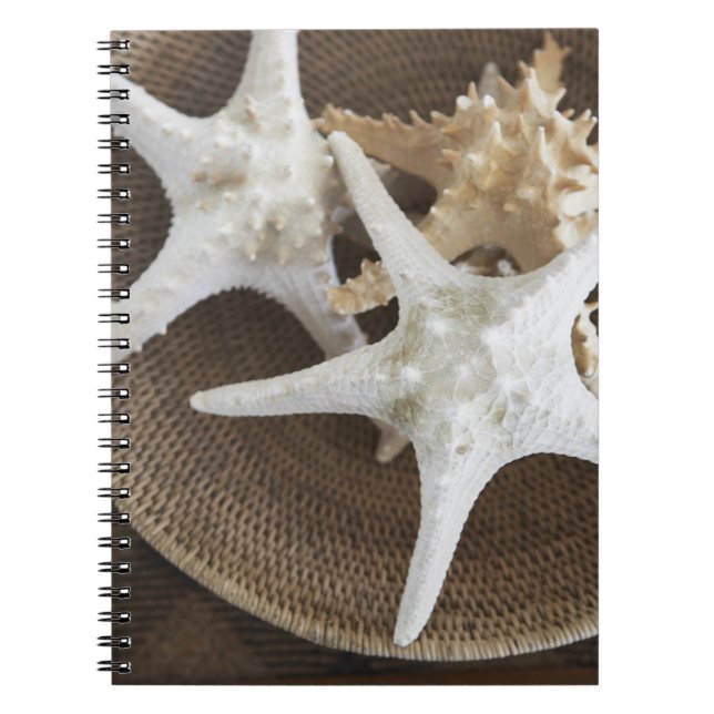 Starfish in a basket spiral notebook (Front)