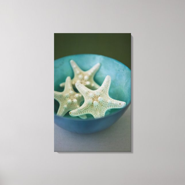 Starfish in bowl canvas print (Front)