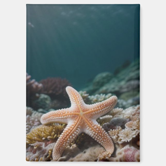 Starfish in the Deep Sea Magnet (Front)