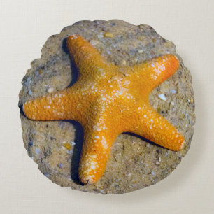 Starfish in the Sand Beach Theme  Round Cushion