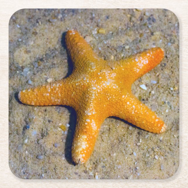 Starfish in the Sand Square Paper Coaster (Front)