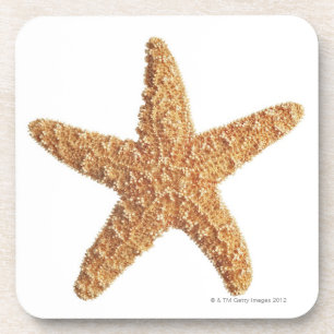 Starfish isolated on white coaster