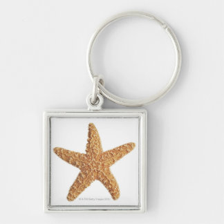 Starfish isolated on white key ring
