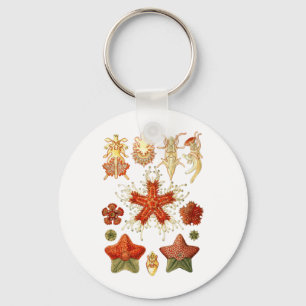 Starfish Key Ring